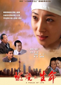 女人的双腿